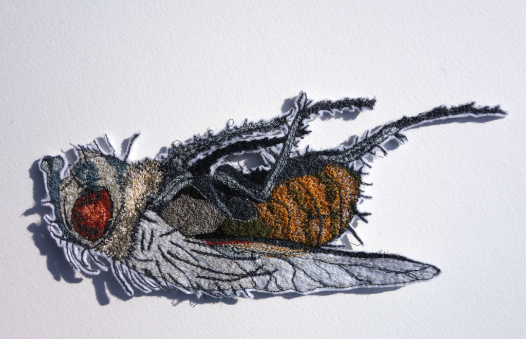 Sandra Mackus, detail serie "insecten", 2018, 23 x 10 cm., draad en vilt