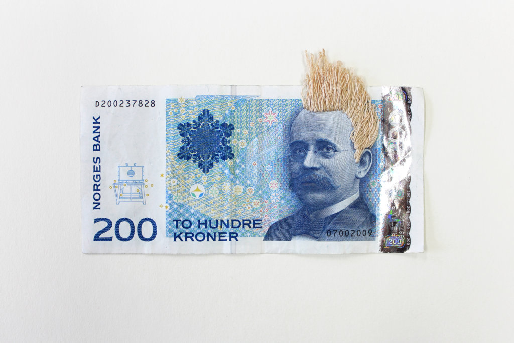 Noora Schroderus, Bank Note Series (2014-2015)